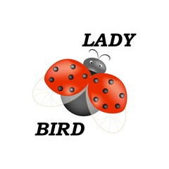 T shirt typography graphic with ladybird and lettering Lady bird. Fashion stylish print for sports wear. Template for t-shirt, apparel, card, poster, etc. Design element. Vector illustration.