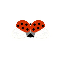 Ladybird isolated. Illustration ladybug fly. Cute colorful sign red insect symbol spring, summer, garden. Template for t shirt, apparel, card, poster, etc. Design element Vector illustration.