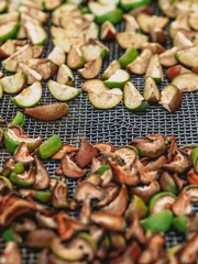 Apple slices are dried on a grid in nature to become dried fruits