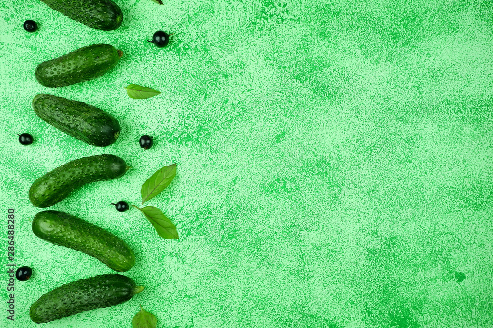 Wall mural Fresh cucumbers on a green background. View from above