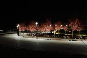 park Krasnodar night view city 