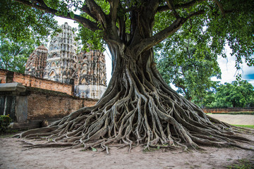 Buddha in Sukhothai historical park in thailand