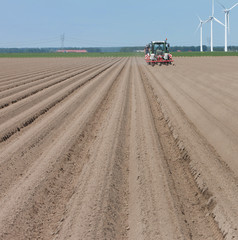 Planting carrots. Windmills. Tractor
