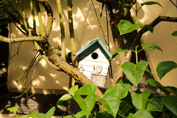 birdhouse on a wall with tree branches around