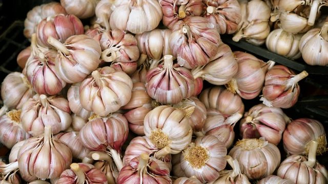 Vegetables. Close-up shot of fresh cloves of garlic in the food market. 4K