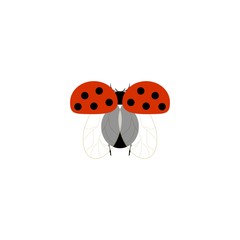 Fototapeta premium Ladybug isolated. Illustration ladybird fly. Cute colorful sign red insect symbol spring, summer, garden. Template for t shirt, apparel, card, poster, etc. Design element Vector illustration.