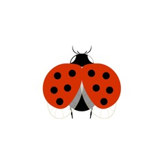 Ladybug isolated. Illustration ladybird fly. Cute colorful sign red insect symbol spring, summer, garden. Template for t shirt, apparel, card, poster, etc. Design element Vector illustration.