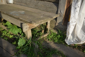 bench in the park