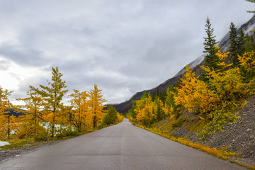 paisaje escénico sobre una carretera con un bosque verde y amarillo con unas montañas de fondo,...
