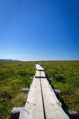Obraz premium Hetta-Pallas Trail Landscape