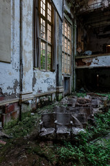 Fototapeta na wymiar Overgrown Auditorium with Wood Seats - Abandoned Silver Creek School - New York