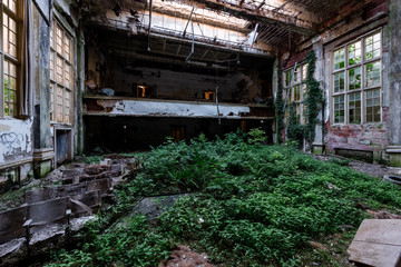 Overgrown Auditorium with Skylights - Abandoned Silver Creek School - New York