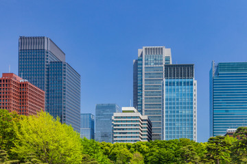 Fototapeta na wymiar 新緑の木立と高層ビル群　東京