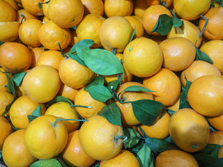 Fresh oranges