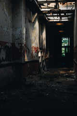 Obraz na płótnie Canvas Derelict Hallway with Skylights - Abandoned Silver Creek School - New York