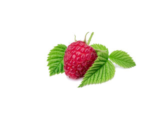 Sweet and fresh raspberries with a prickly spine and young leaves on a white background with a sunny shadow. Summer seasonal plant.