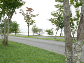 公園の小道越しに見える湖