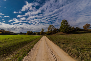 Fototapeta na wymiar Panorama view in the autumnal nature. With fields trees and quiet nature.