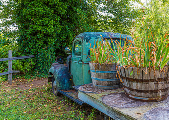 An Old Truck with Plants loaded in the back