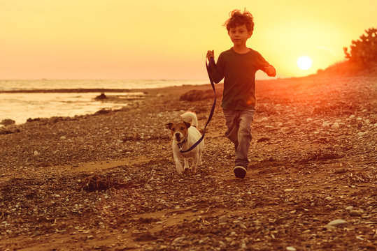 5 Years Old Kid And Dog Running At Autumn Beach With Sunset Sun Behind Them