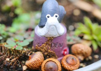 the little snail sculpture Behind the acorn  - Image