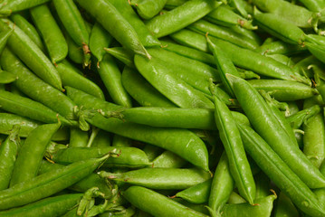 Fresh pea pods as background. Top view.