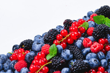 Blackberry, raspberry, blueberry,  red currant and mint background.