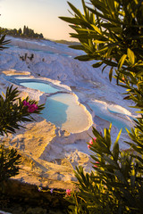 Pamukkale pool terraces in Hierapolis in Turkey