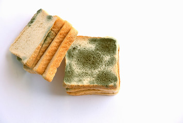 Mold growing rapidly on moldy bread  on white background..Scientists modify fungus found on bread into an anti-virus chemical.
