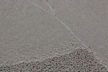 Wet sand texture close up. Shells on the beach
