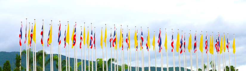 The yellow Thai flag is a symbol of the king.  