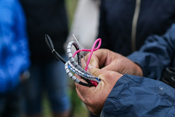 A man ringing a bird while holding it in hand. ornithologist work.