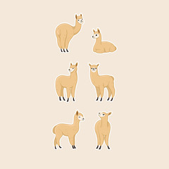 Alpaca icon set. Different type of alpaca. Vector illustration for prints, clothing, packaging, stickers, stickers.