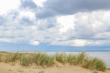 Fototapeta na wymiar Wild sand dunes in Nida, Lithuania. Landscape before the storm, sand and wind, dark sky.