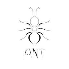 Ant logo design for all your businesses