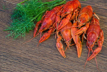 Boiled crayfish with dill on wooden background