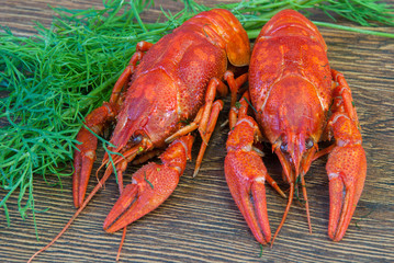 Boiled crayfish with dill on wooden background
