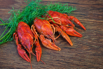 Boiled crayfish with dill on wooden background