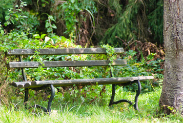 Naklejka premium alte Bank