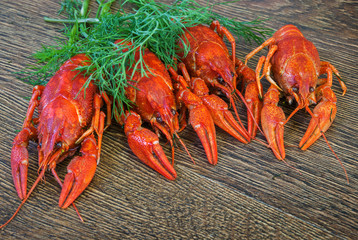 Boiled crayfish with dill on wooden background