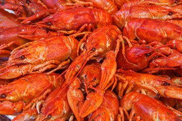 Still life with crayfish crawfish on old wooden background