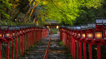Sanctuaire Kibune de la préfecture de Kyoto Vert frais