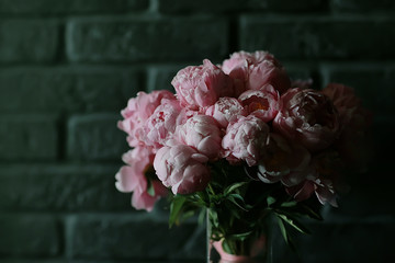 bouquet of pink peonies / concept gift, beautiful flowers, peonies at home, summer bouquet
