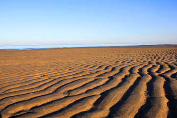 Where Desert Meets The Sea