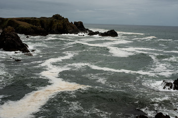 paysage de l'Ile d'Yeu, côte sauvage