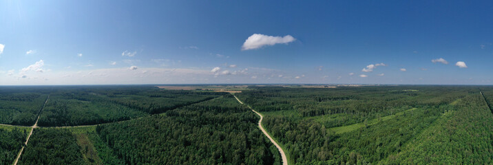Summer forest landscape with gravel road, aerial view