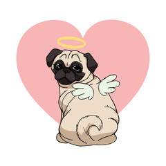Cute pug with angel wings and nimbus and a pink heart on white background. Vector dog illustration. Funny cartoon character