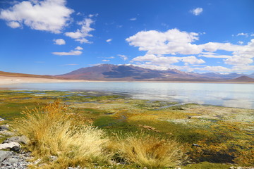 Beautiful landscape of Laguna Blanca in Bolivia. Lake with calm water and reflections, In the horizon mountains and blue sky with clouds © valdecilima