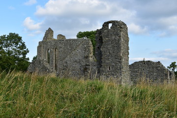 Fototapeta na wymiar Klasztor Inch Abbey