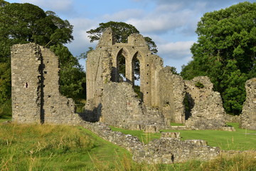 Fototapeta na wymiar Klasztor Inch Abbey